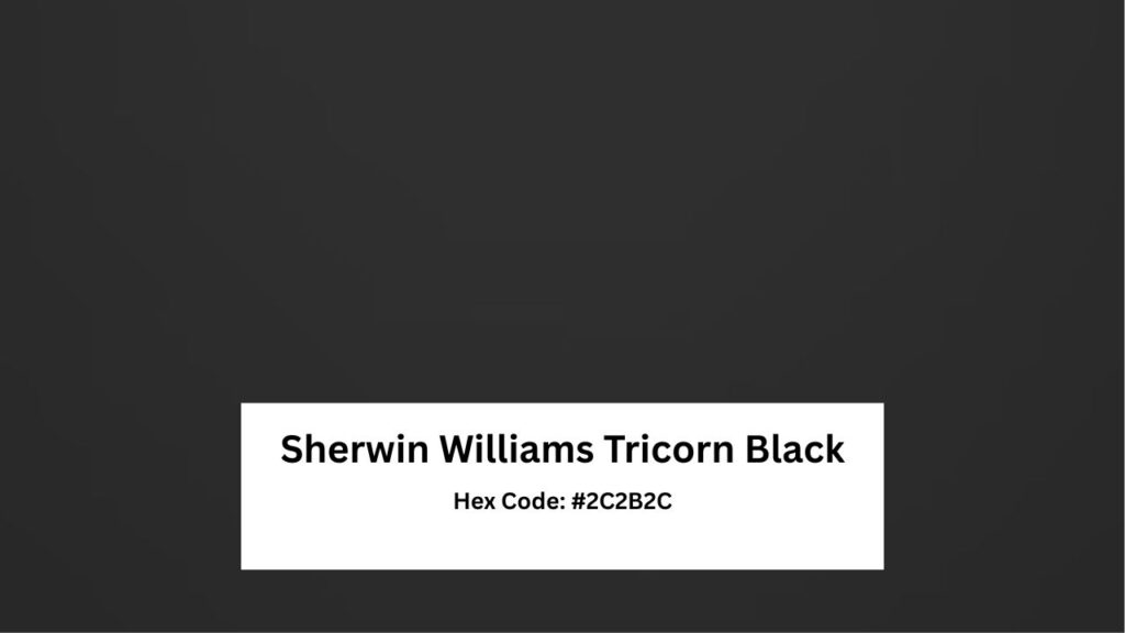 Tricorn Black Sherwin-Williams paint color