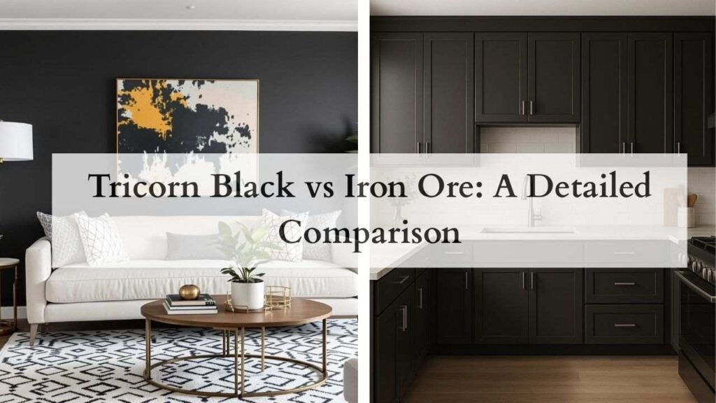 Tricorn Black vs Iron Ore colors